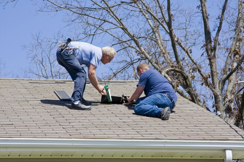 Roof Repair Expertise