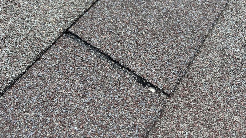 Shingles Repair
