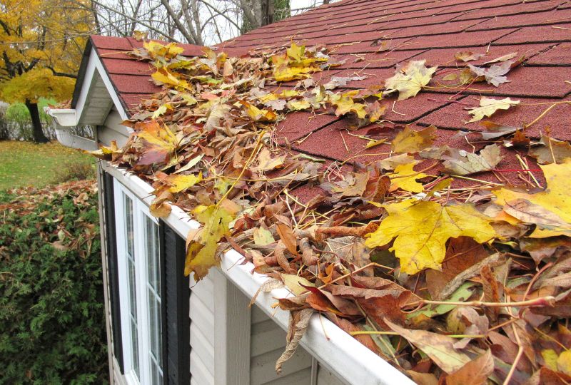 Roof maintenance check in autumn